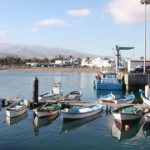 Grúa-puerto-pesquero-Catillo-Romeral-5-660x330